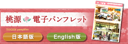 桃源電子パンフレット