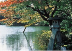 金沢 兼六園