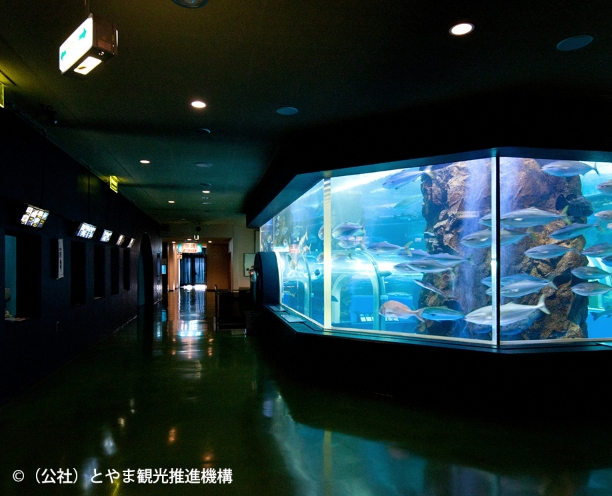 魚津水族館