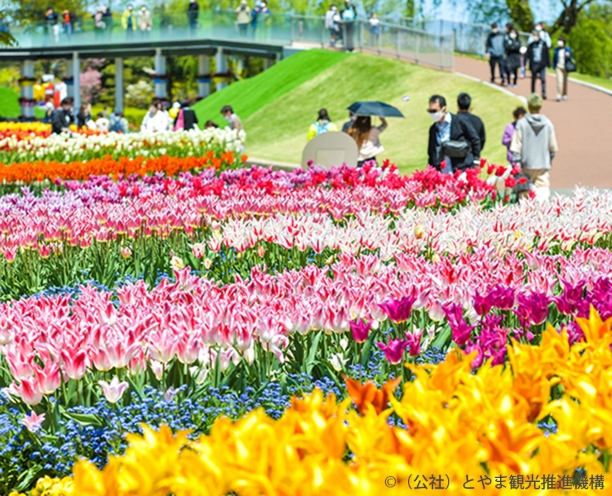 砺波チューリップ公園